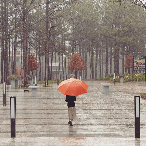 Dalat rainy days