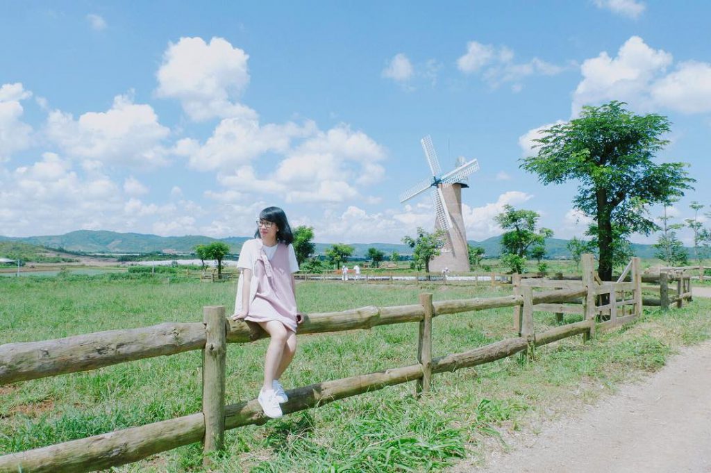 Organic milk farm Dalat