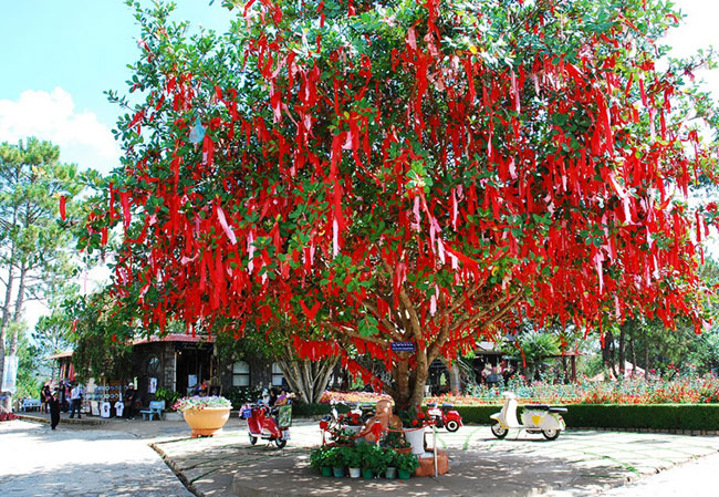 The wishing tree in Mong Mo hill