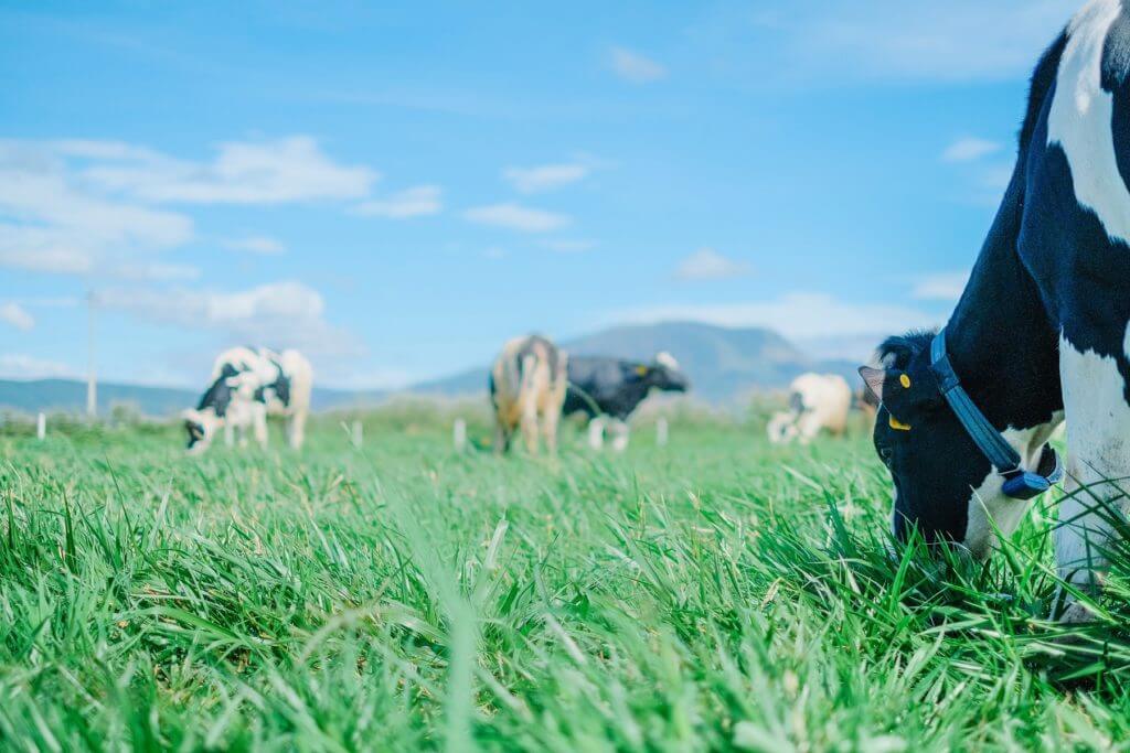 This is the first farm to meet European standards