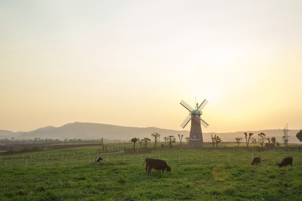 Vinamilk Organic Dairy Farm