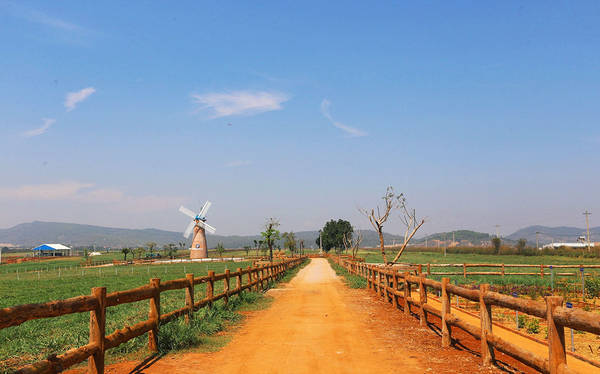 Vinamilk Organic Milk Farm