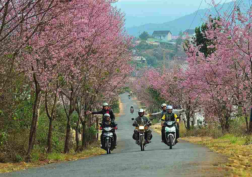 You can rent a motorcycle right in the city center